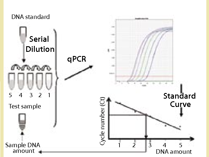 Host Cell DNA Assay Kits Creative Diagnostics