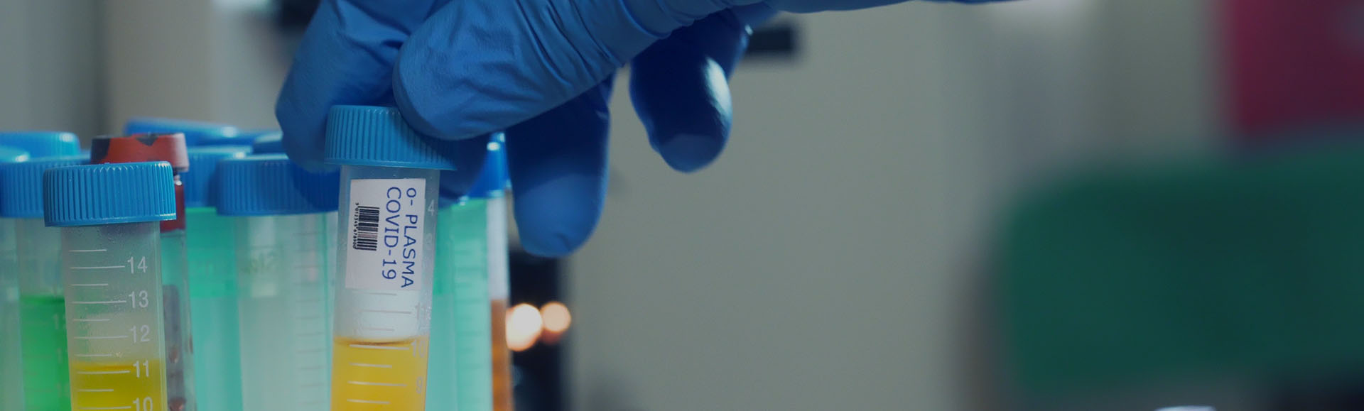 HCP Analytical Services