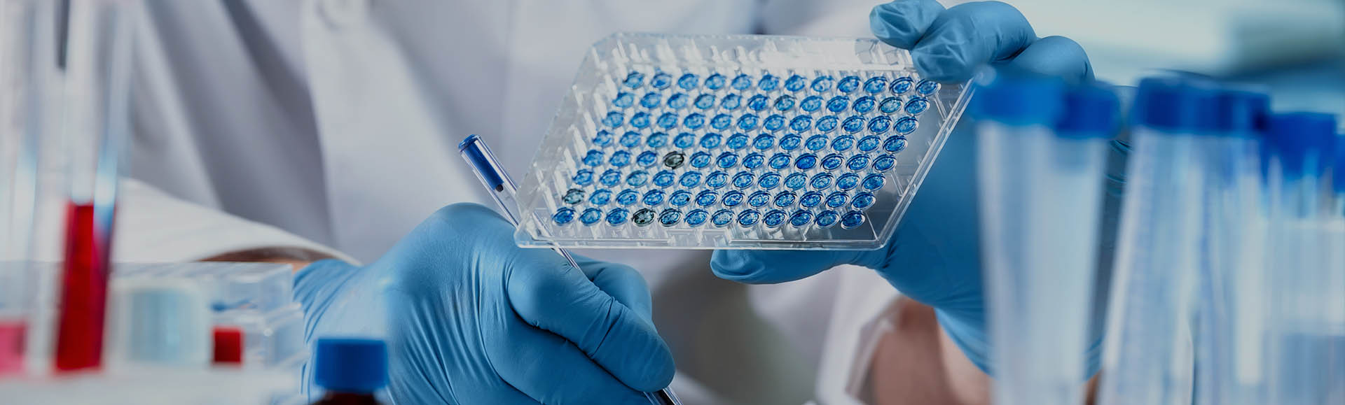 HCP ELISA Development