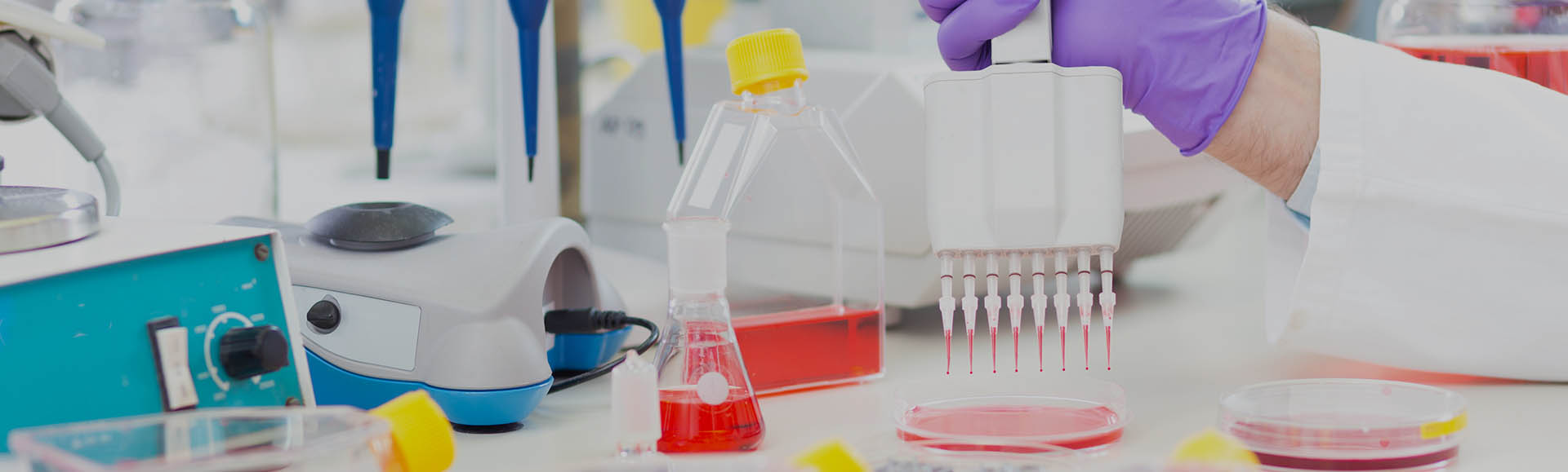 Pharmaceutical Microbiology Quality Control