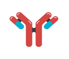 Applications of Host Cell Protein - Creative Diagnostics