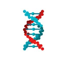 Applications of Host Cell Protein - Creative Diagnostics