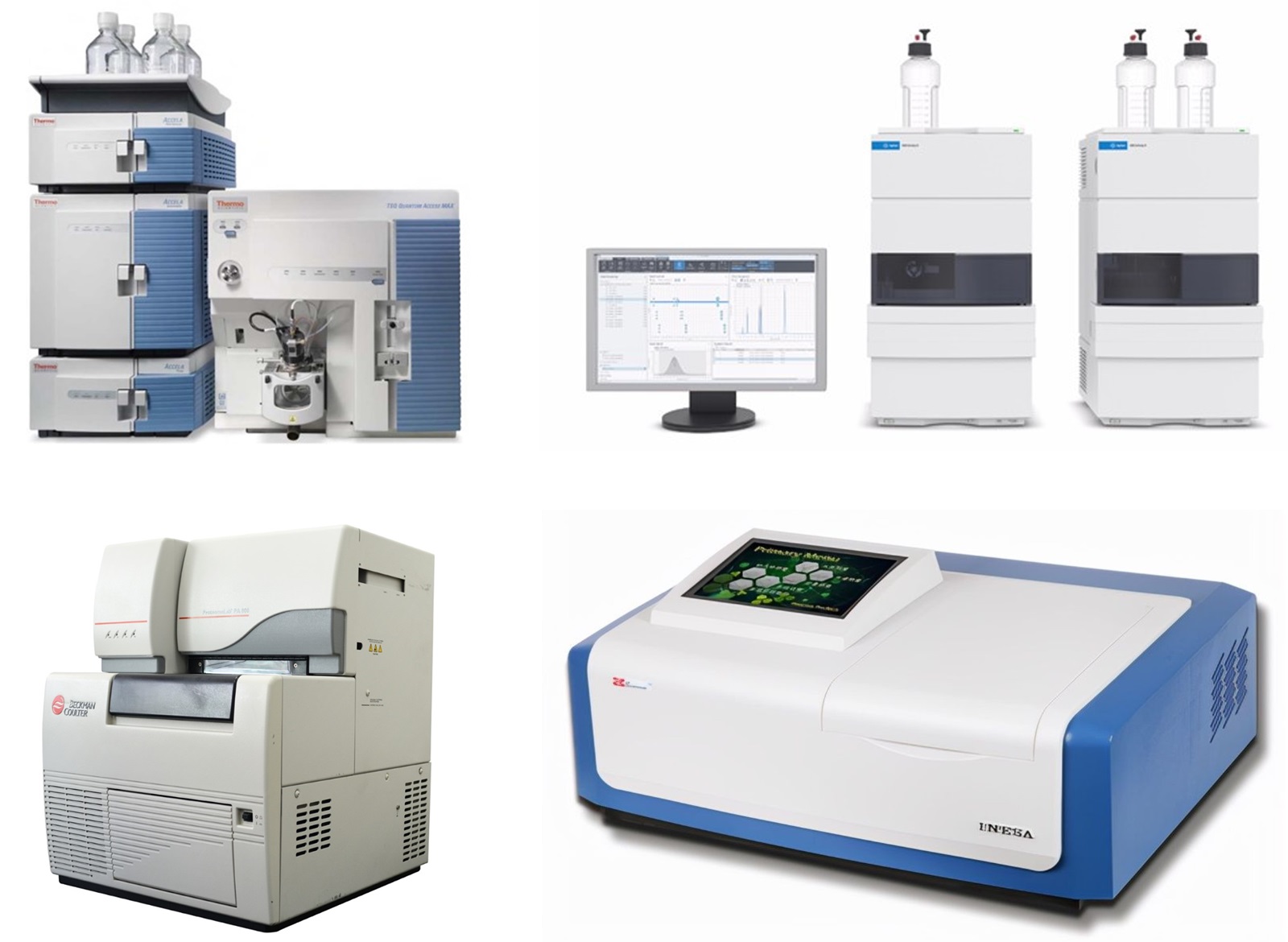 Content And Purity Analysis Of Biological Drugs Creative Diagnostics