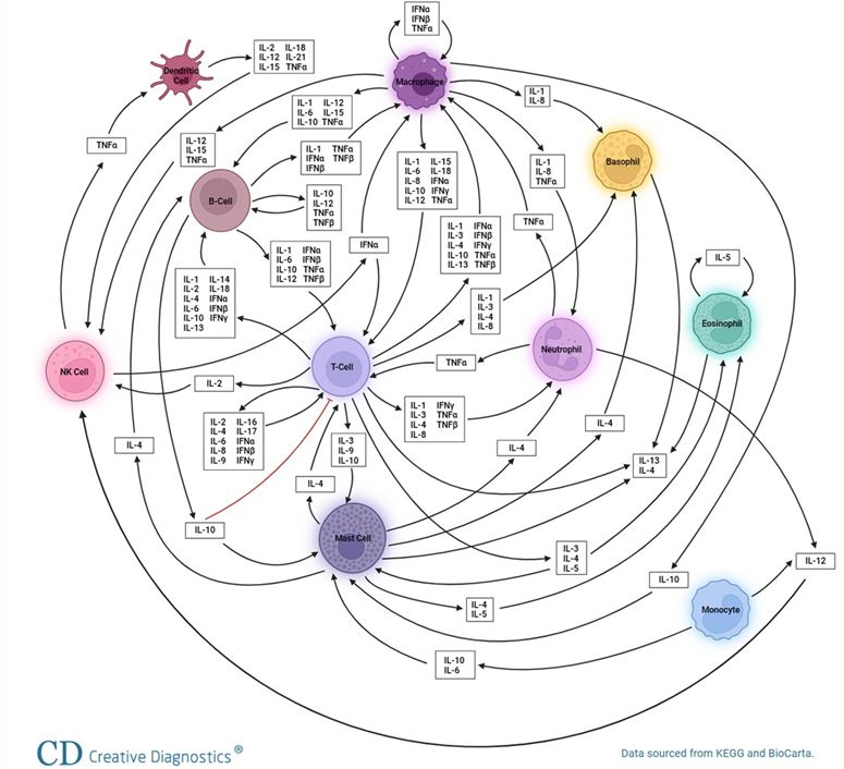 Cytokine Detection Services - Creative Diagnostics