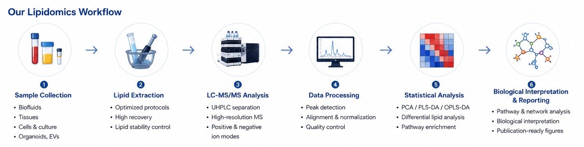 Lipidomics Services - Creative Diagnostics