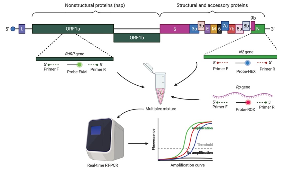 Molecular Level Analysis For Biological Drugs Creative Diagnostics