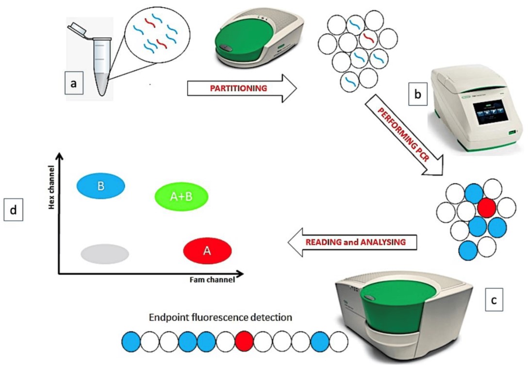 Molecular Level Analysis For Biological Drugs Creative Diagnostics