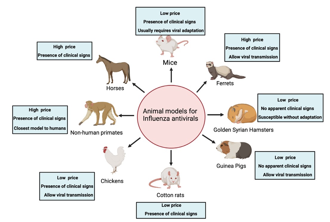 Non-tumor Animal Models - Creative Diagnostics