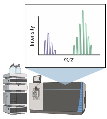 Protein Level Analysis for Biological Drugs - Creative Diagnostics